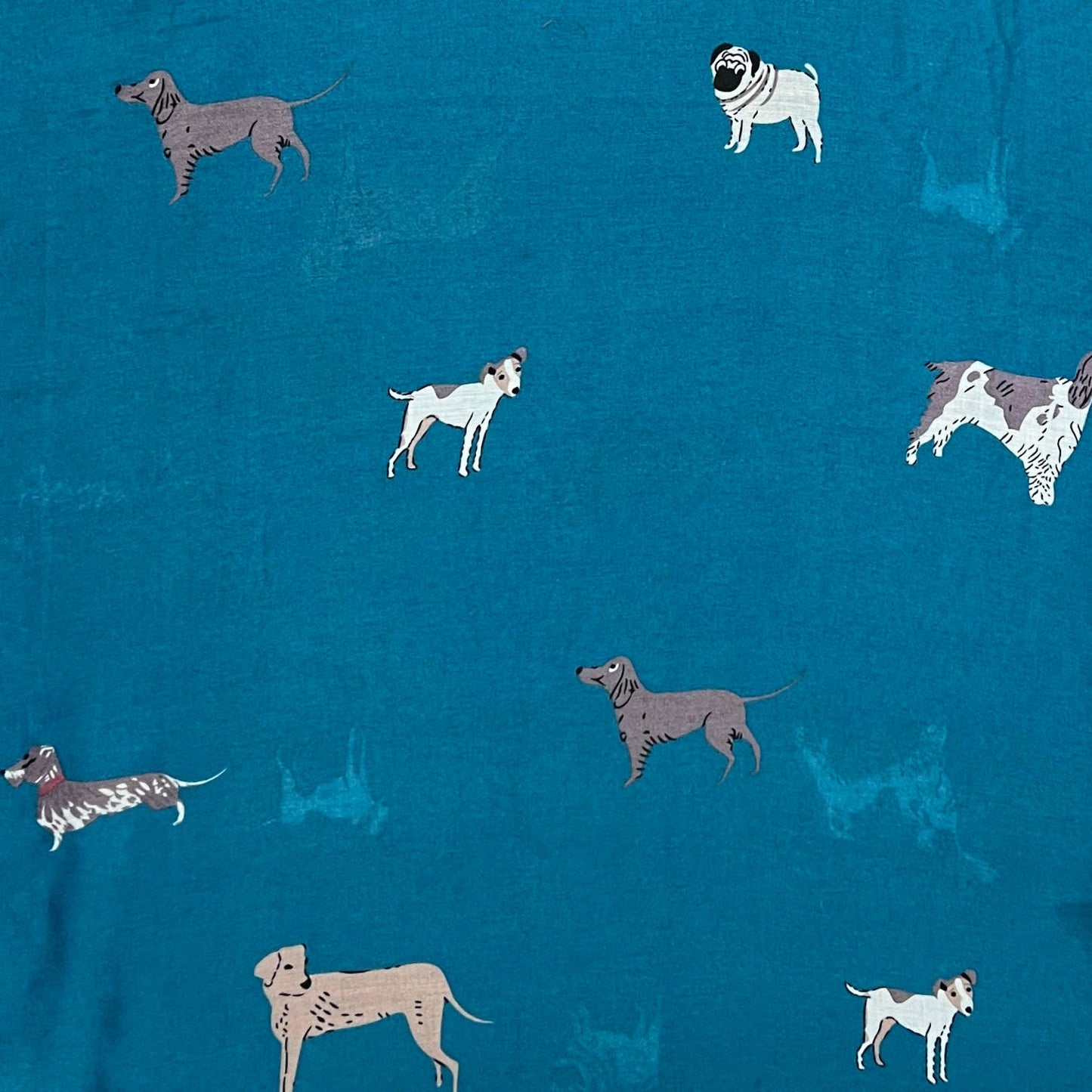Dog Lovers Teal Blue Print Scarf