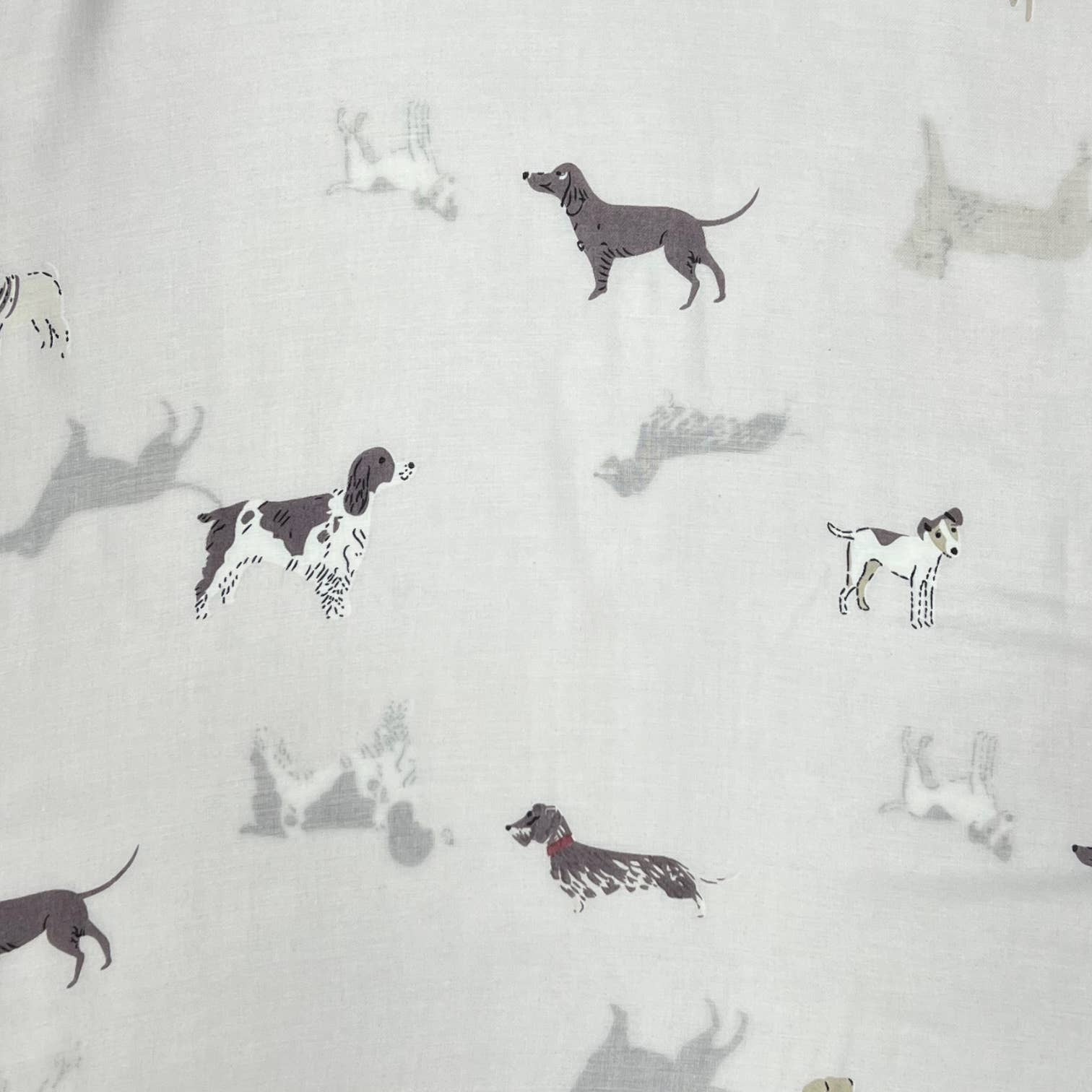 Dog Lovers Off White Print Scarf